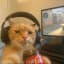 Profile picture of Spotter